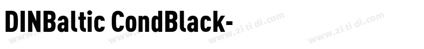DINBaltic CondBlack字体转换